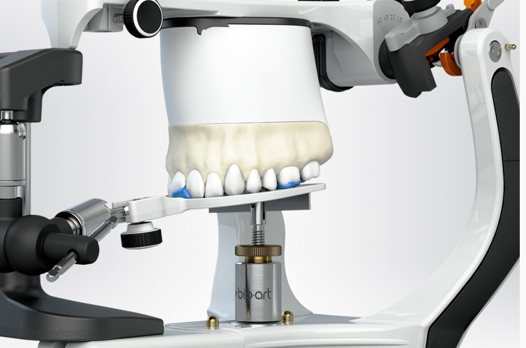 Halbverstellbarer Arcon-Artikulator Color | Präzise Simulation Zahnlabor
